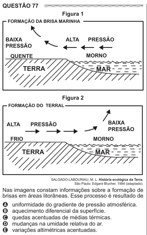 Imagem da questão 77 do ENEM 2017