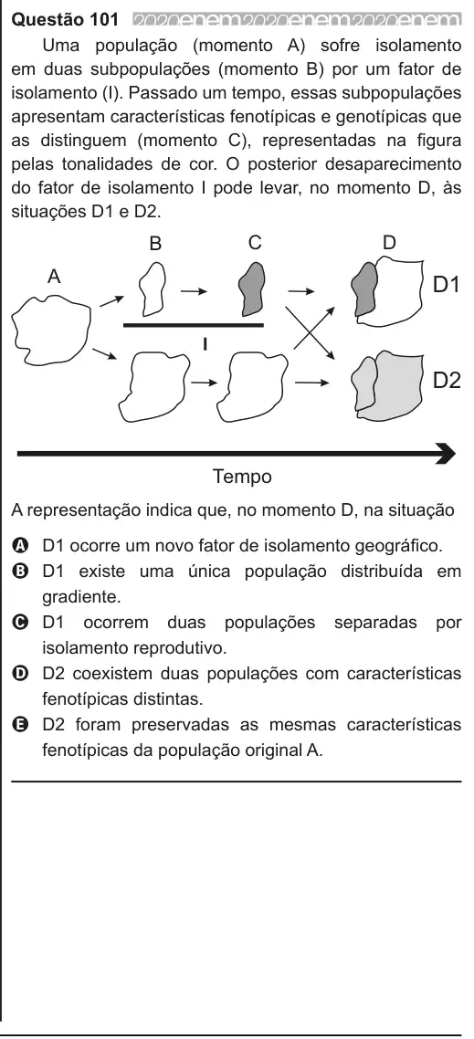 Imagem da questão 101 do ENEM 2020