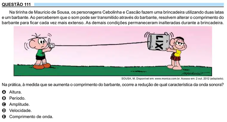 Imagem da questão 111 do ENEM 2023