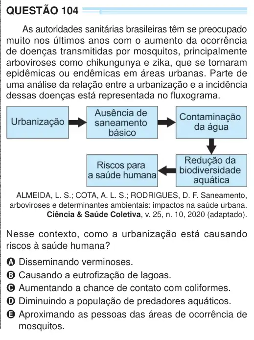 Imagem da questão 104 do ENEM 2024