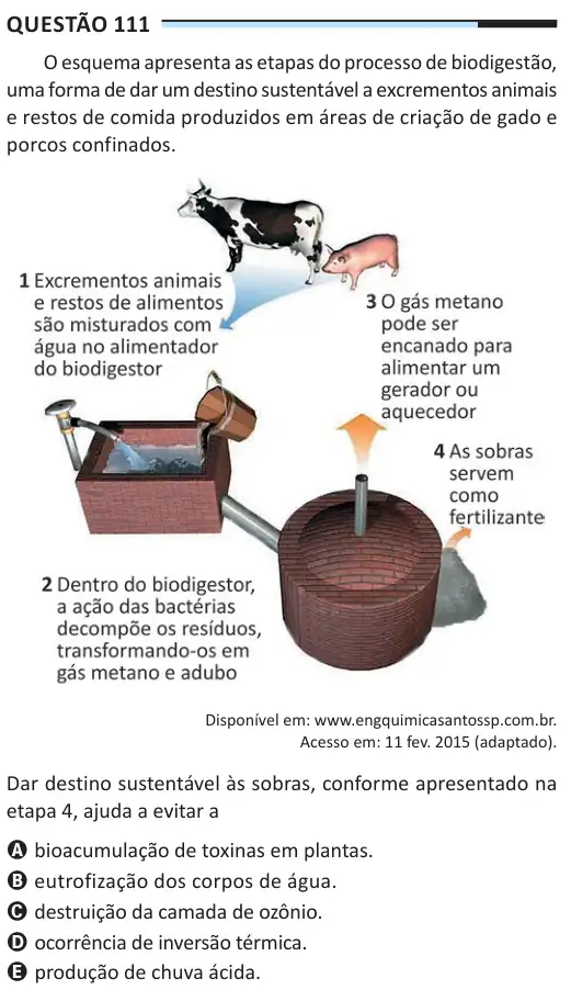 Imagem da questão 111 do ENEM 2025